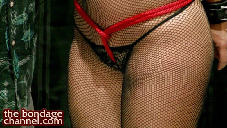 David Mack Video: Crotch Roped Annas