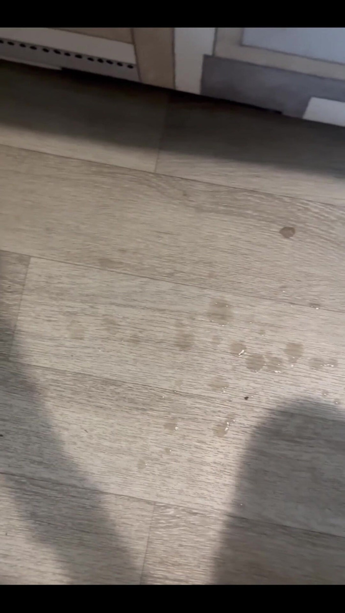 Johnny69227: ,. Masturbation Hardcore
