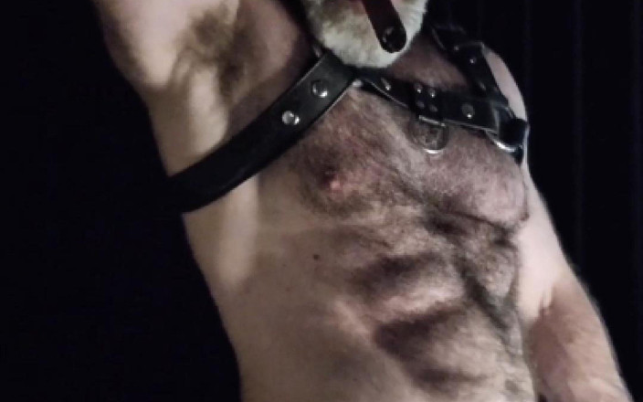 JackvanDean: 毛深い筋肉質の継父が自慢する