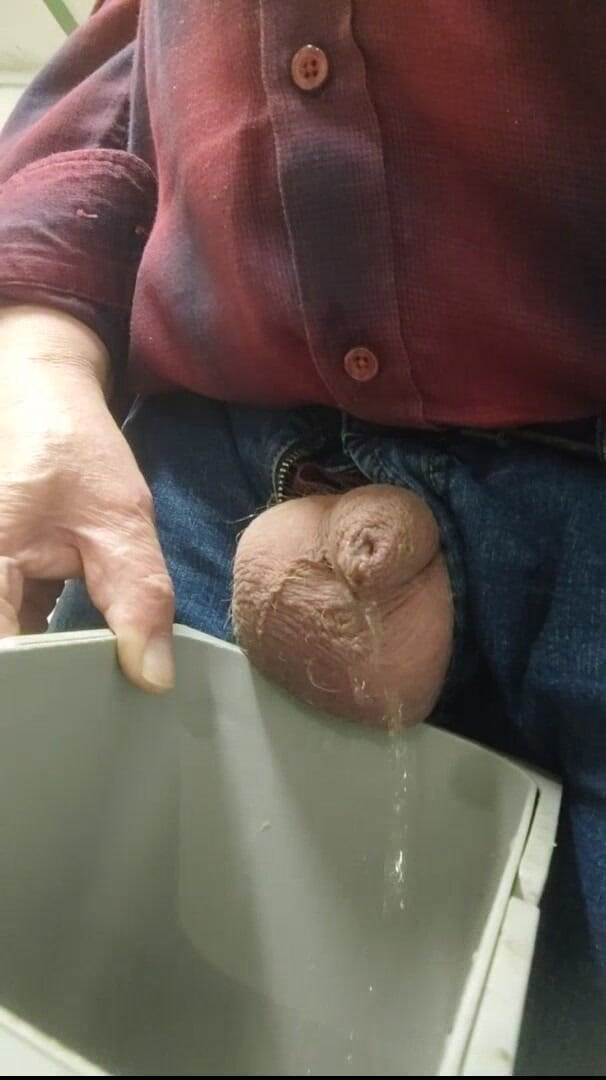 Karlchengeil: Pisse partout