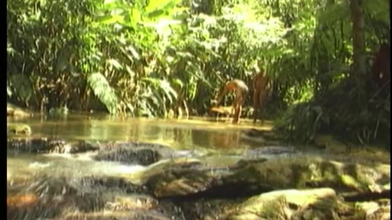Boys boyz: Jungle anal stretch - reife hengste hämmern tief