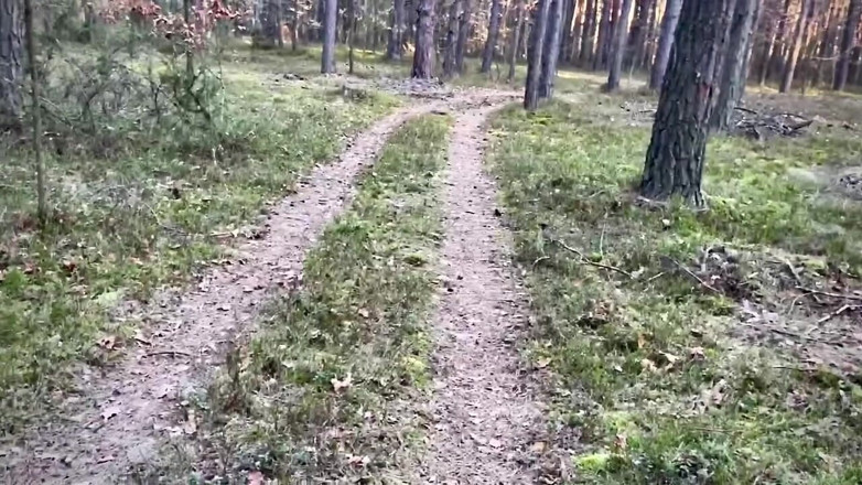 Lily, Goddess of Desire: Matin amateur dans la forêt