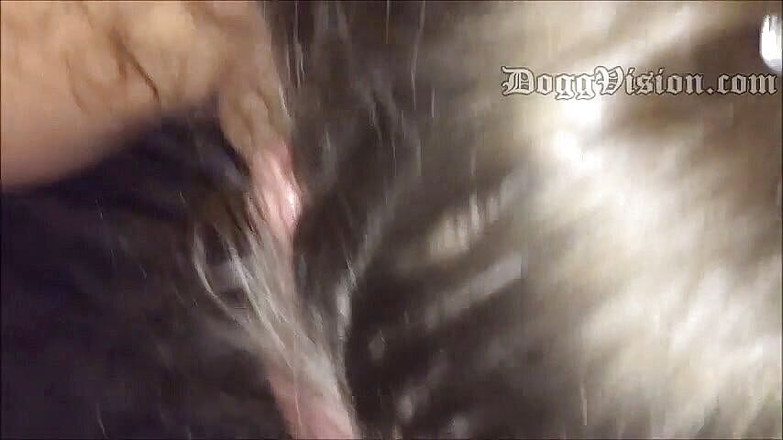 DoggVision: Trou du cul poilu en POV et facial