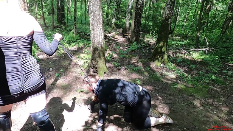 Heel 15 cm: 森での競馬