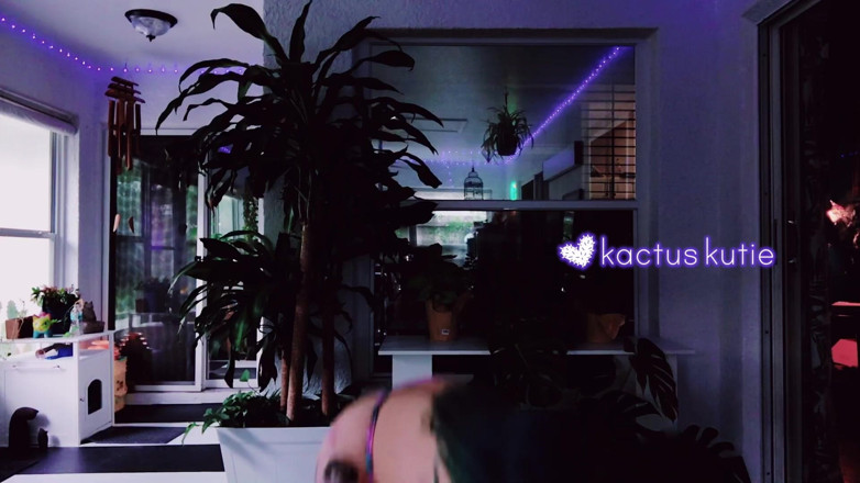 kactus kutie: Hava kararırken Kute Klothes'i deniyor