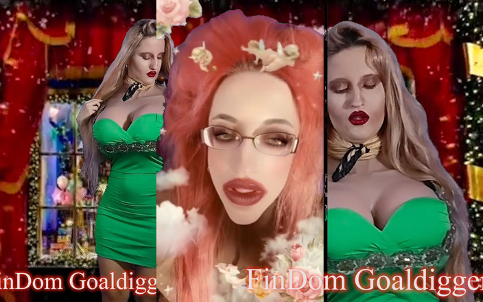 FinDom Goaldigger: Il mio portafoglio
