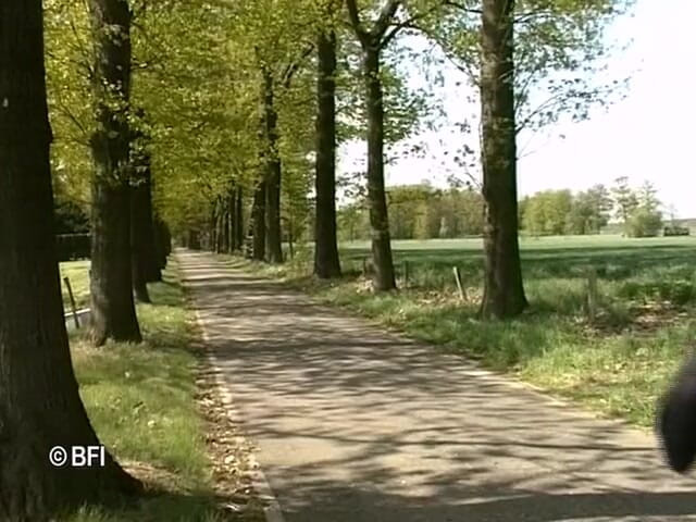 Naughty by nature in Holland: Xkiss - Cafe Tramhalt, bahagian 1