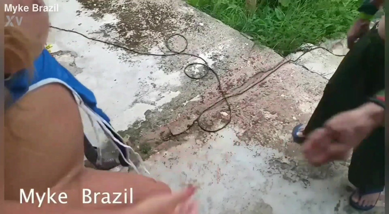 Myke Brazil: Ines Ventura mi ha assunto per dipingere la casa ma...
