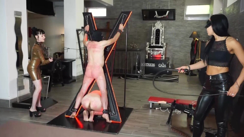 Lady Mesmeratrix Official: Trzy pisklęta femdom biczowanie i karze swoich niewolników