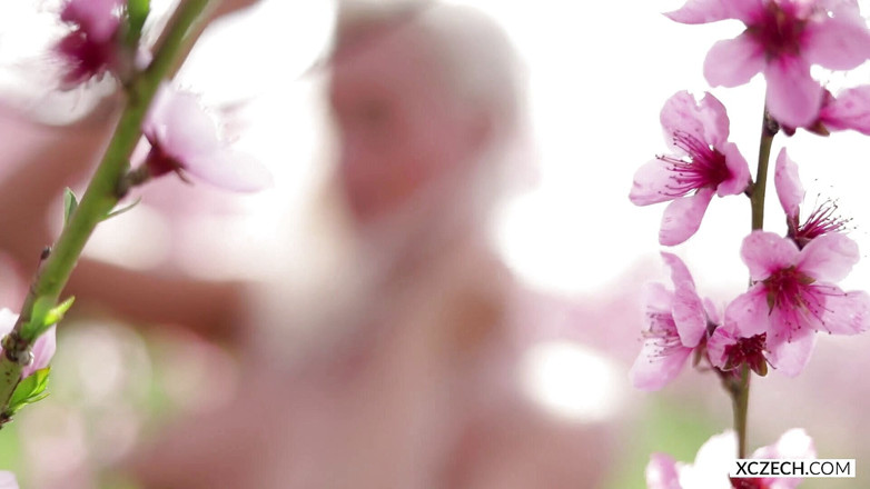 XCZECH: Sharon Cherry - cereja florescendo - Premium