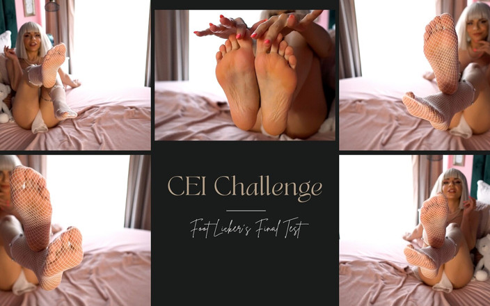 LexandLev: CEI挑战