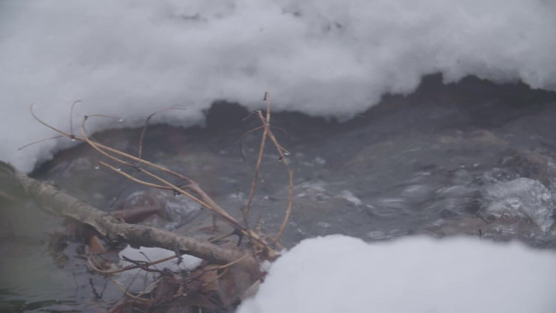 Himeros.tv: Nagi w naturze