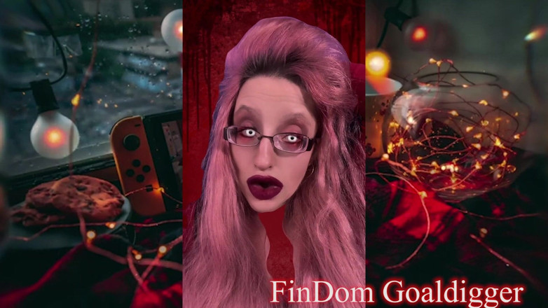 FinDom Goaldigger: Transformare în bani