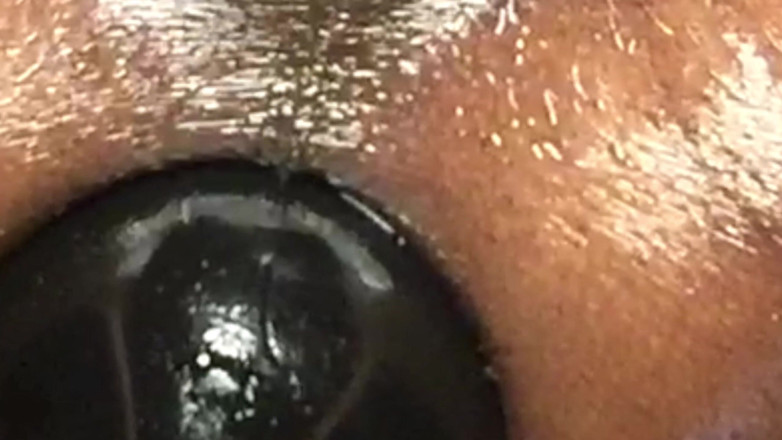 Ms300 Sarazia Exotic: Ms300 sarazia exotisch - ich dehnt und klafft meinen creampie
