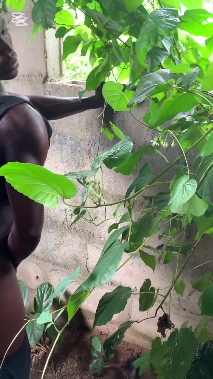 Sassypussyy:  Vidéos de chatte sasseuse 
