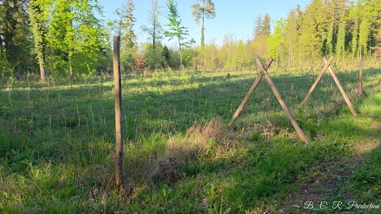 Malou-Nu: Pierdută în pădure. și deodată devine periculos de fierbinte