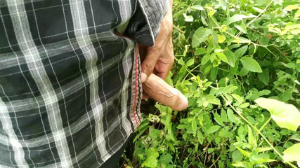 Desimast7: Schön, schwanz spielen im garten