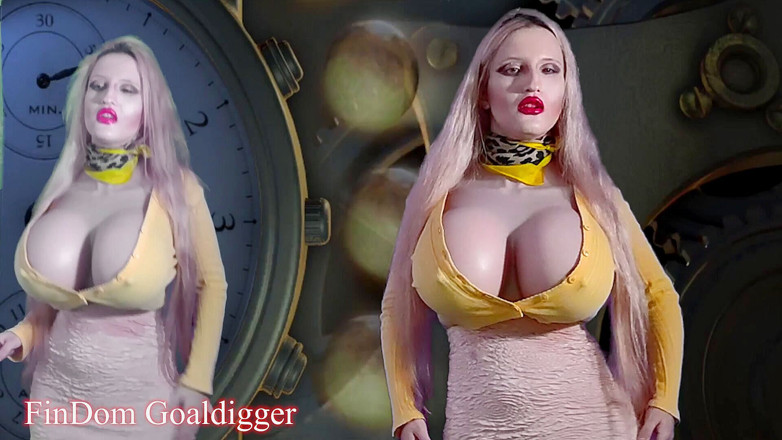 FinDom Goaldigger: Mannequin Transformation
