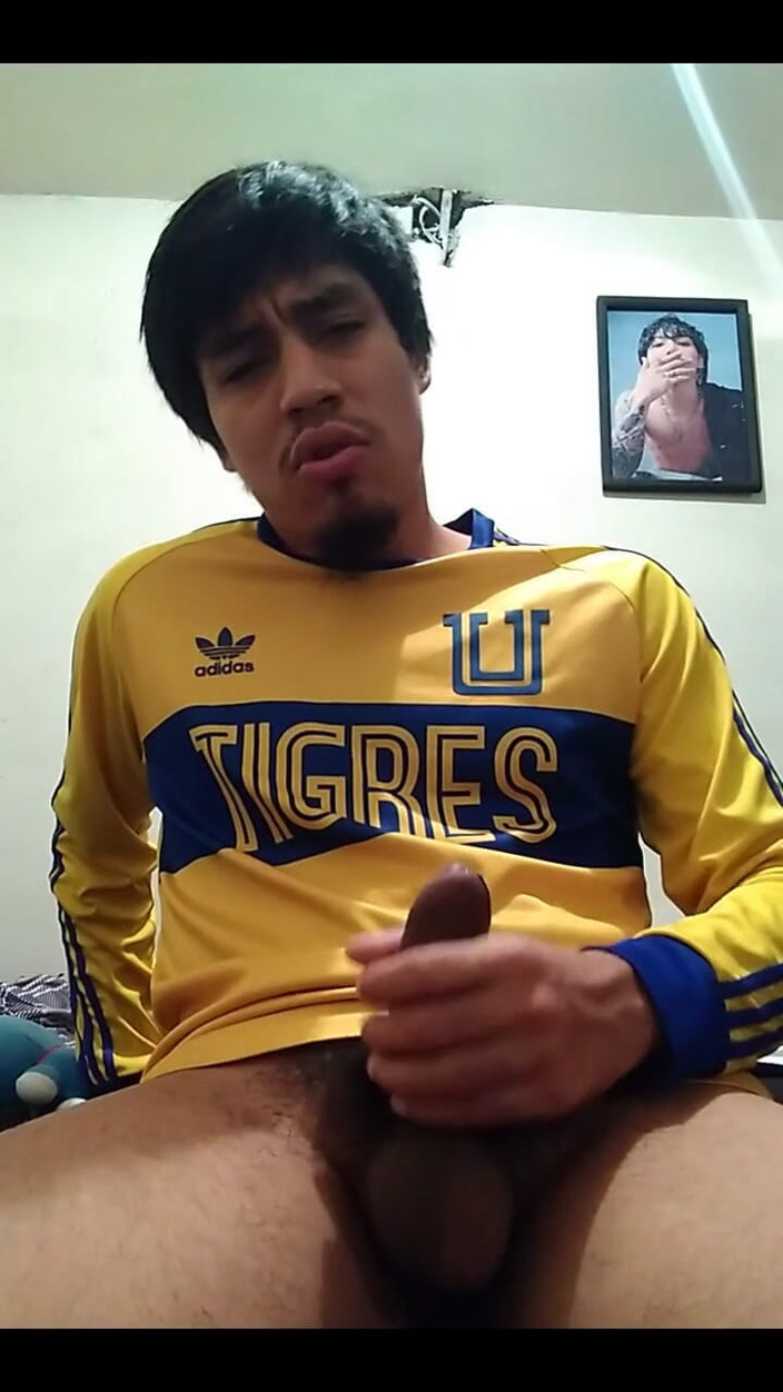AlexAlejandro13: さあ、ティグレス、私は金持ちで戻ってきます。
