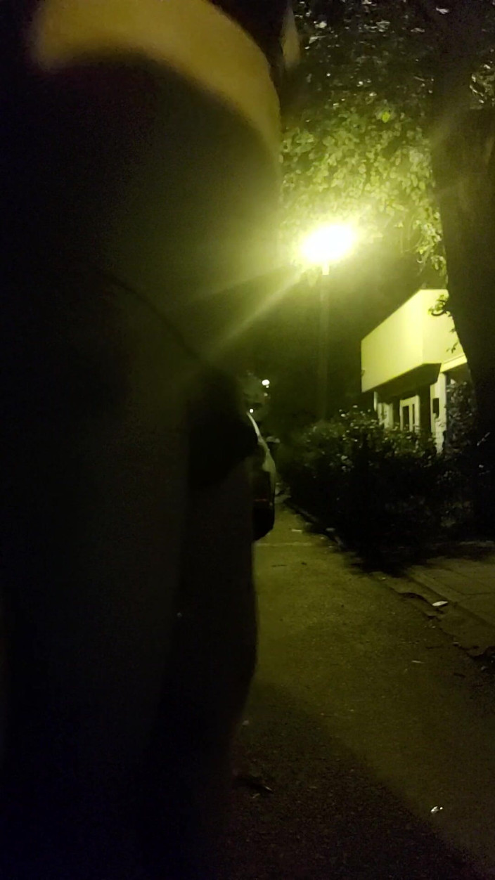 AnalStreetWhore: Distracție în aer liber 2