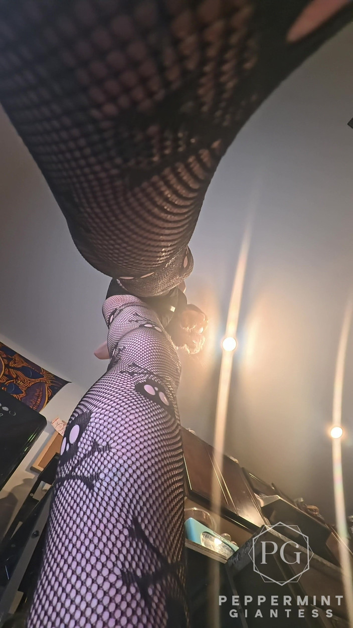Peppermint Giantess: 73 Giantess gotuje nadziewane skorupy - mały człowiek przywiązany do mojego 8-calowego...