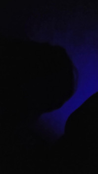 Head in the Shadows