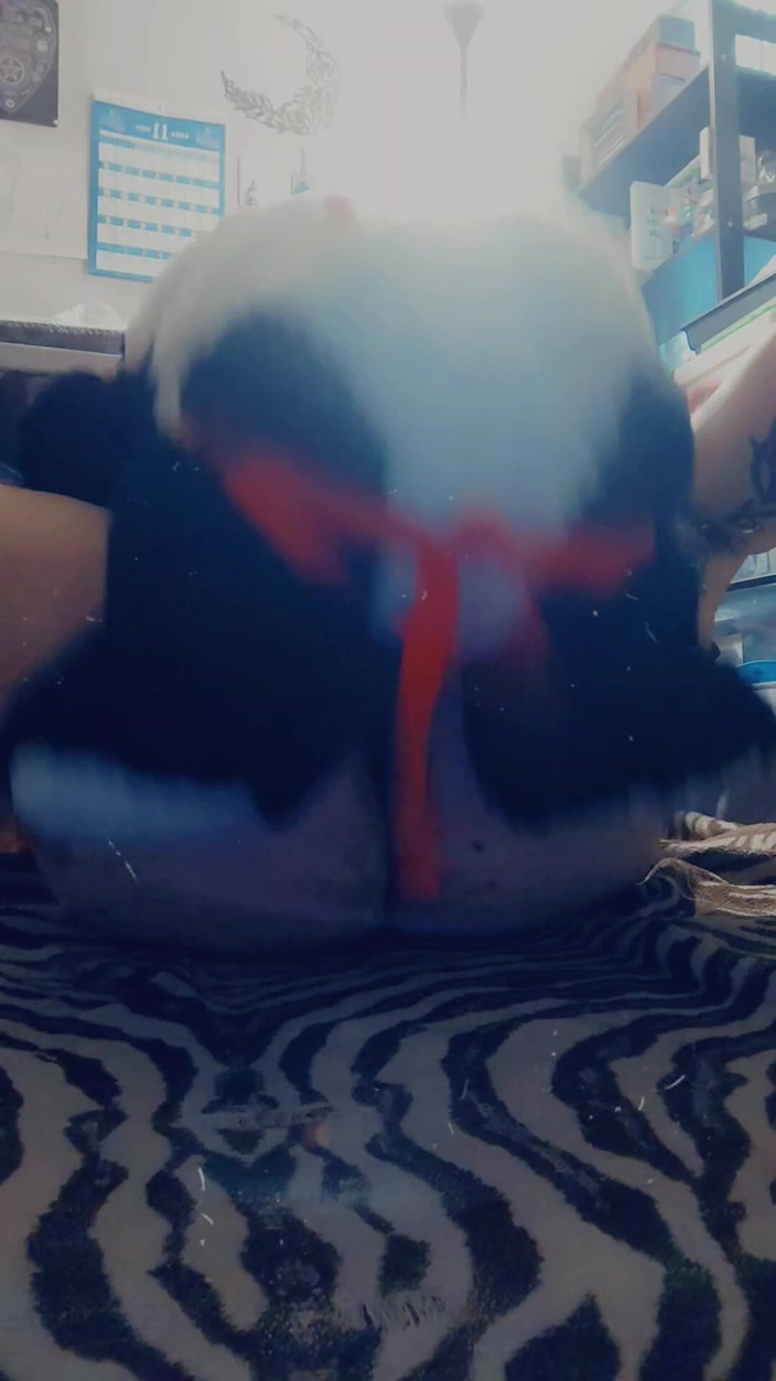 Domina Succubus: Mi scopo la mia stuffie panda (strap on)
