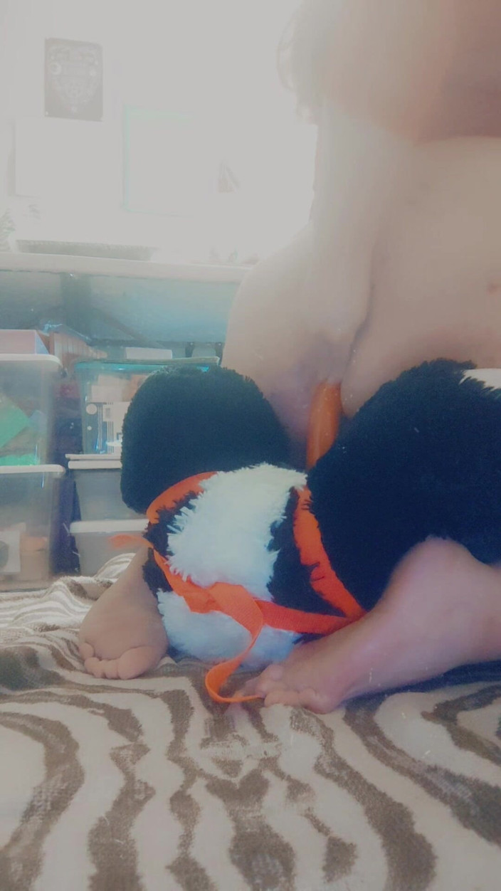 Domina Succubus: Fucking My Panda Stuffie (strap-on)
