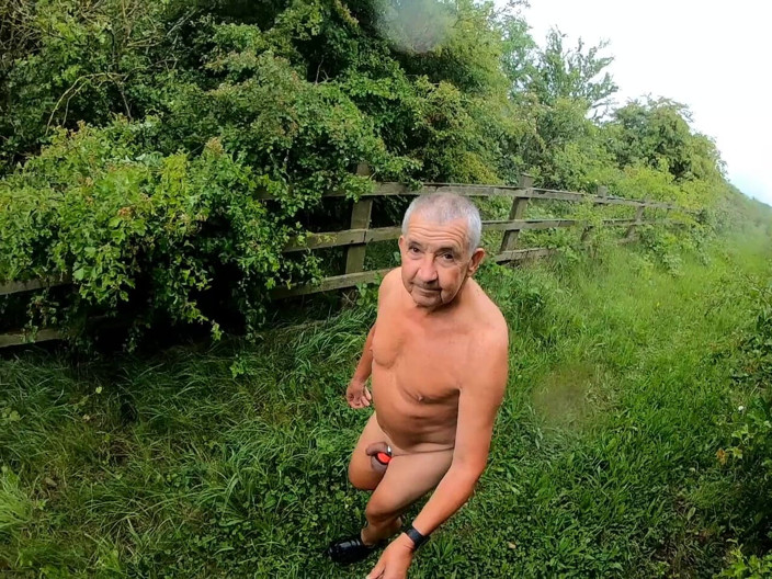 Andy: Đi bộ 29 2025