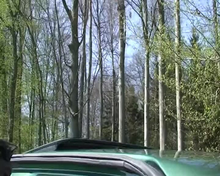 Porno kino: Brunette German Babe Rides Dick in Nature