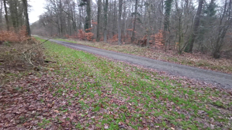 Bouncy Tits Action: Tuttar i skogen