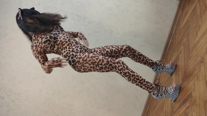Ponny Letany: Pequena pônei maricas usava terno de leopardo e dançando mostrando...