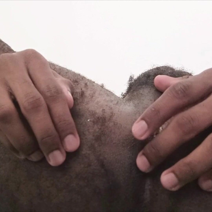 Ares Wolf: Cur negru păros sexy
