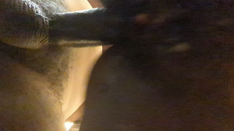 Themeatz: Nikmati pemandangannya kamu suka gaya doggy?!