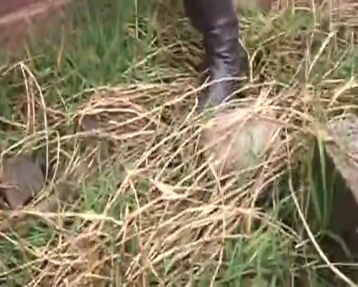 Enjoy German porn: Ebony German Bitch Rides BBC in This Rough Outdoor Action