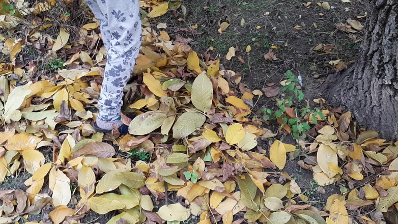 Lesbian-candys: J’ai séduit la copine du forestier et nous l’avons baisée...