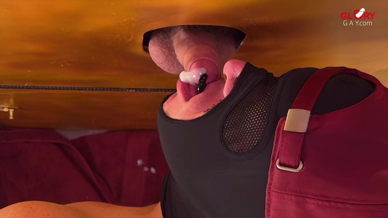 GLORYHOLEGAYS: Putera Albert dalam Gloryhole: Benih Yang Kekal Terperangkap dalam Acorn