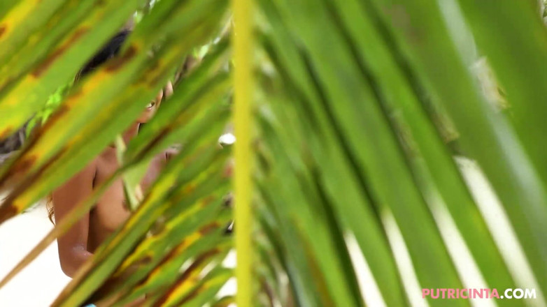 Putri Cinta: Asiática gata Putri Cinta em 'Palm Beach'