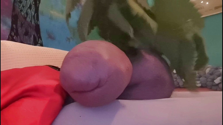 Monster_Meat_: Isırganlar beni deli ediyor