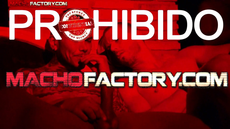 Macho factory: Lihat salah satu pesta pribadi pabrik macho!