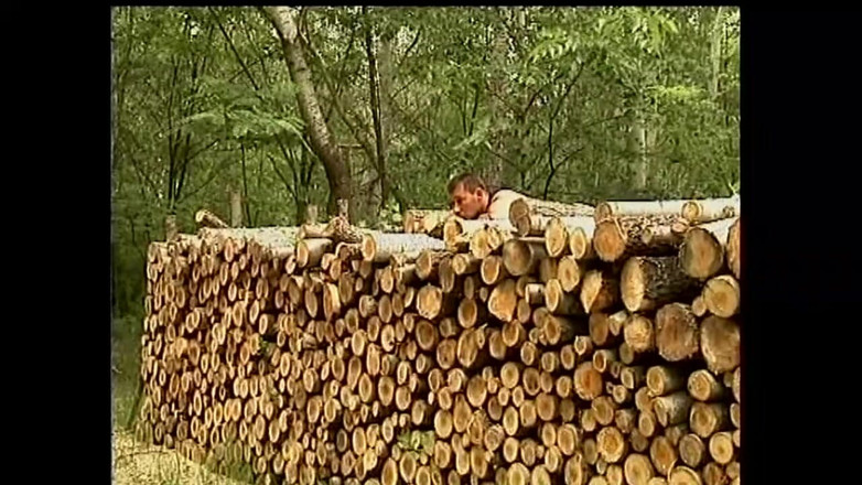 Muschi movie official: Bruneta țâțoasă fute o pulă tare în aer liber