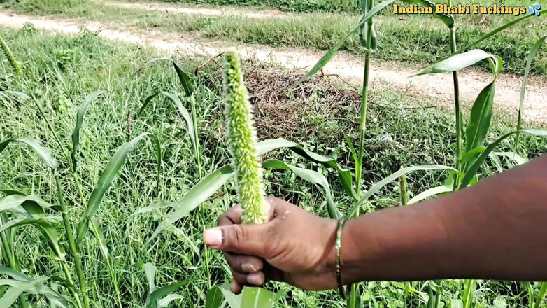 Indianbhabifucking: Sumitha Bhabi, Sumitha Bhabi, Suffair, Suspek Berkongkek Tegar, Sesi Menunjukkan...