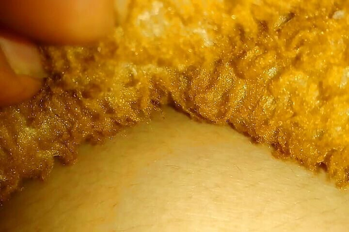 Thakursammy: Multi nippel