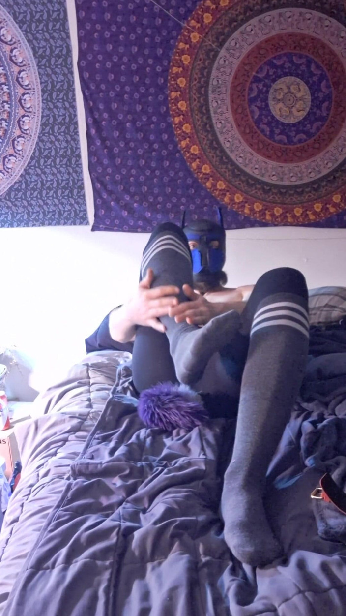 Robert48569: Pet Choker Socks Chains Barking Fetish
