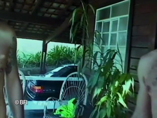Ladyboy Paradise: Trans brésilienne