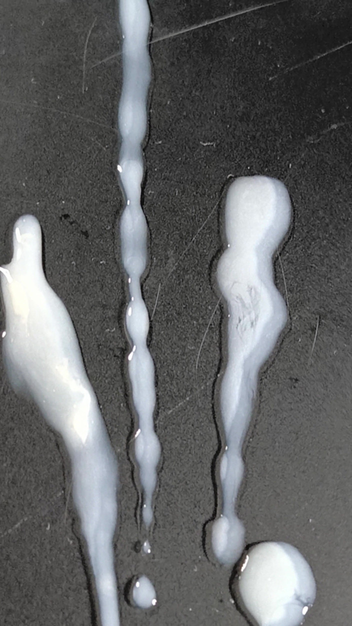 LolaCD: Sc034 - 34H