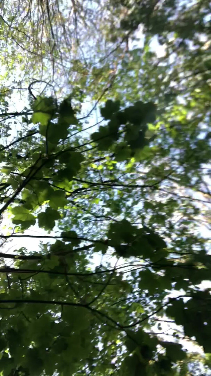 Pissing Paradise: Putain! J’avais Besoin De Ce Pipi Dans Un Lieu Public!