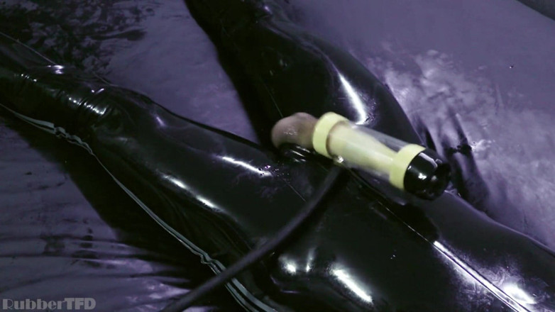 RubberTFD: Gummi-extraktions-asyl