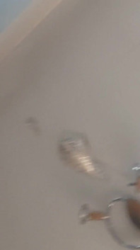Rita Vegas - Vid_20241127_105126