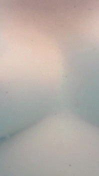 Pechos En La Piscina